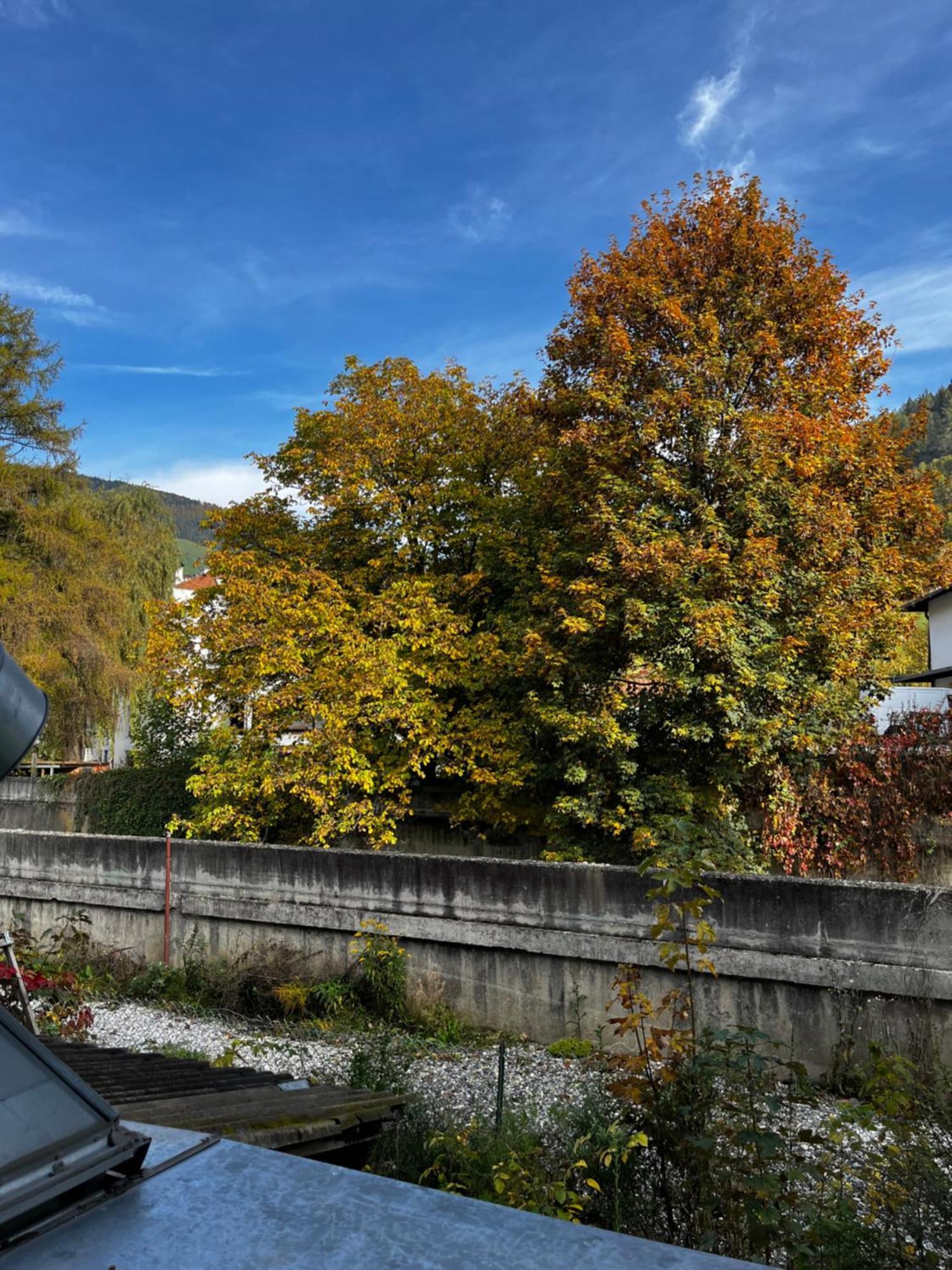 Gasthof Sterzingerhof Exteriér fotografie